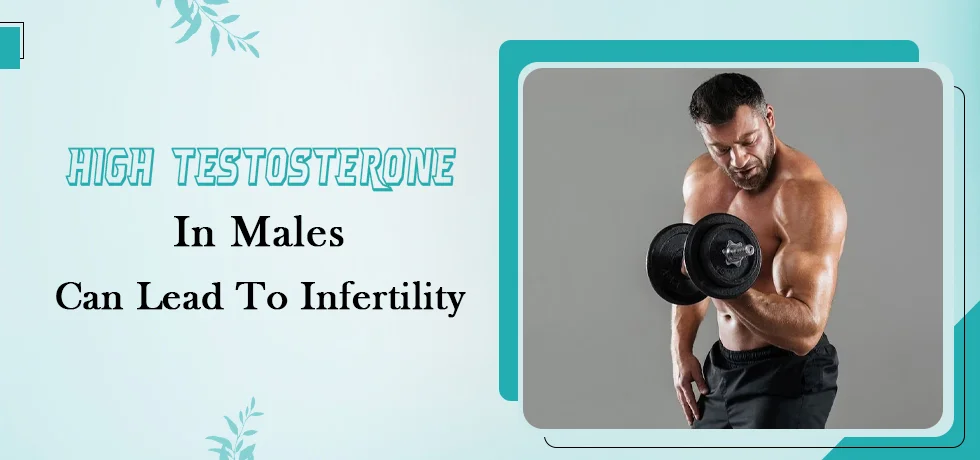 High Testosterone